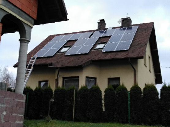 WhatsApp Image 2020-08-11 at 13