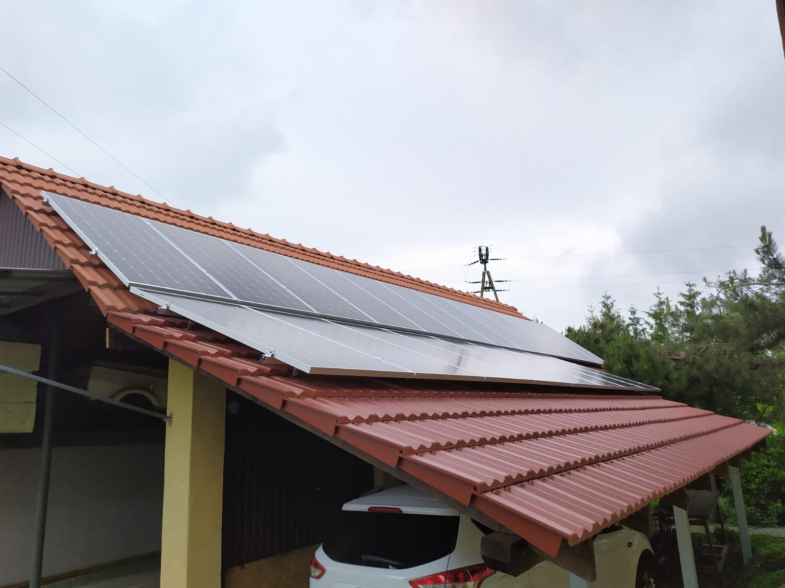 WhatsApp Image 2020-08-11 at 13