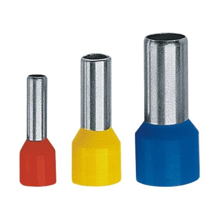 2481 (1)